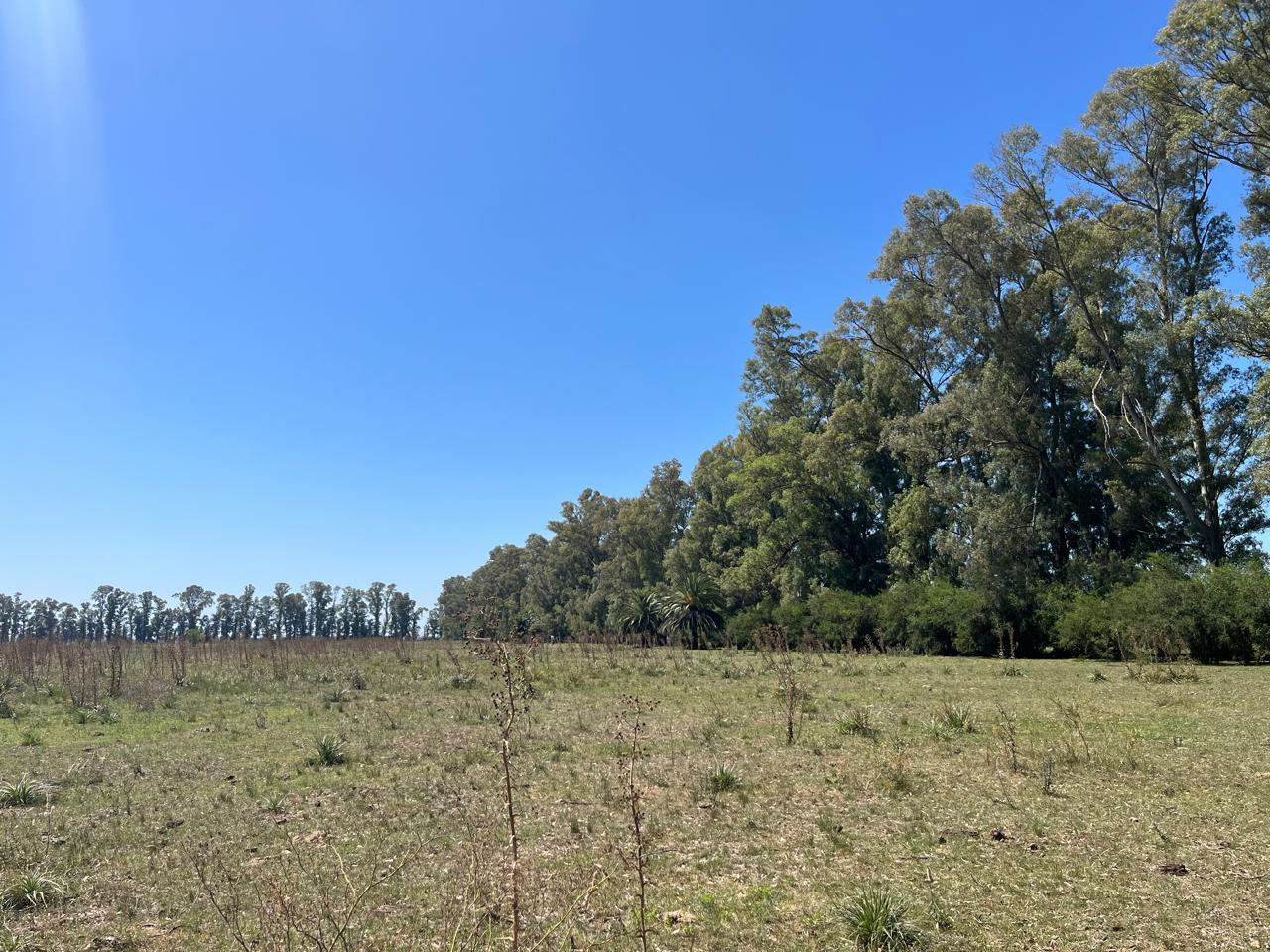 EXCELENTE OPORTUNIDAD Lotes en venta – Altos de Plomer